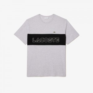 Men's Lacoste Big Fit Colorblock Jersey T-Shirt Grey Chine Black | MLE906145