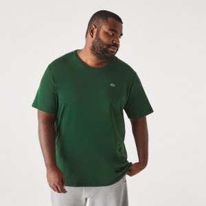 Men's Lacoste Big Fit Crew Neck Cotton Jersey T-Shirt Pine green | FKA247813