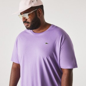 Men's Lacoste Big Fit Crew Neck Cotton Jersey T-Shirt Purple | CME586417