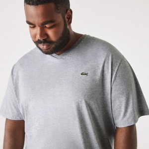 Men's Lacoste Big Fit V-Neck Pima T-Shirt Grey Chine | ASY015476