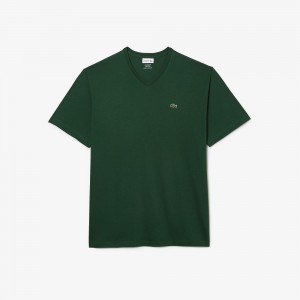 Men's Lacoste Big Fit V-Neck Pima T-Shirt Pine green | FON645319