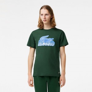 Men's Lacoste Cotton Jersey Print T-Shirt Pine green | ILU972543