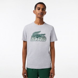 Men's Lacoste Cotton Jersey Print T-Shirt Grey Chine | YMP684125