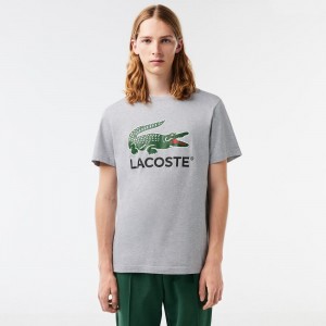 Men's Lacoste Cotton Jersey Signature Print T-Shirt Grey Chine | PHS254071