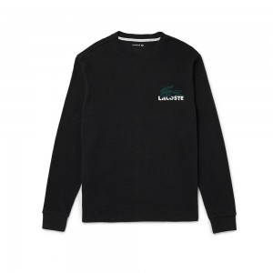 Men's Lacoste Cotton Lounge T-Shirt Black | XHF370528