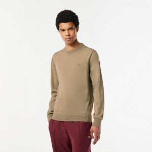 Men's Lacoste Crew Neck Merino Wool Sweater Beige | UTS374816