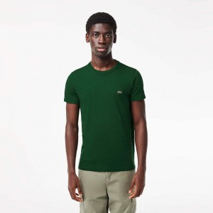 Men's Lacoste Crew Neck Pima Cotton Jersey T-Shirt Pine green | HRO190463