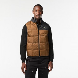 Men's Lacoste Packaway Hood Vest Brown Black | UDX280614