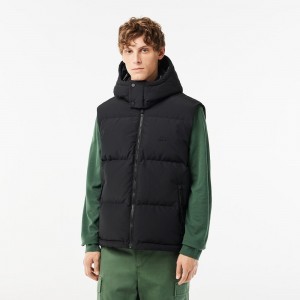 Men's Lacoste Qulted Croc Down Vest Black | YRH832619