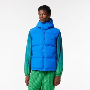 Men's Lacoste Qulted Croc Down Vest Blue | MOG823719