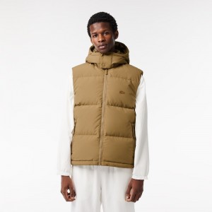 Men's Lacoste Qulted Croc Down Vest Brown | DAM478053