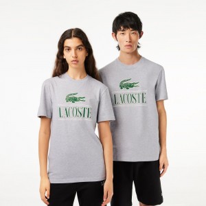 Men's Lacoste Regular Fit Heavy Cotton Jersey T-Shirt Grey Chine | VFC105396