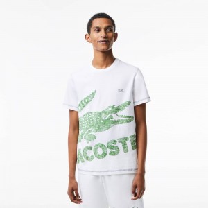 Men's Lacoste Regular Fit Organic Cotton Jersey T-Shirt White | LHV543087