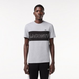 Men's Lacoste Regular Fit Printed Colorblock T-Shirt Grey Chine Black | CJF245173