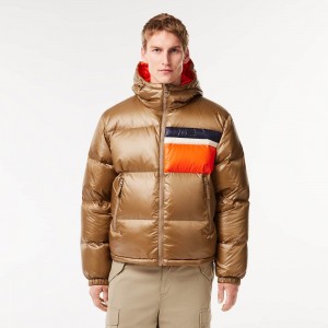 Men's Lacoste Reversible Colorblock Accent Down Jackets Brown White Orange | ARN026378