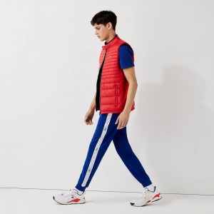 Men's Lacoste SPORT Branded Bands Sweatpants Blue Red White | SDF629751