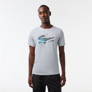 Men's Lacoste SPORT Cotton Jersey T-Shirt Grey Chine | IAR049812