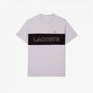 Men's Lacoste Tall Fit Colorblock Jersey T-Shirt Grey Chine Black | UWE102576