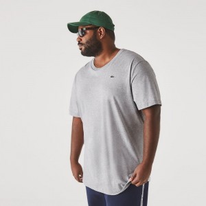 Men's Lacoste Tall Fit Pima Cotton Jersey T-Shirt Grey Chine | ILO017358