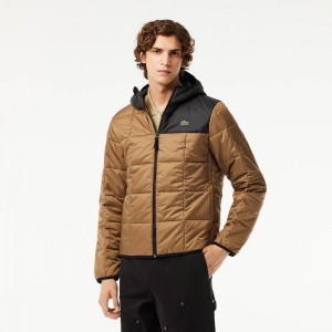 Men's Lacoste Waterproof Padded Hood Puffer Jackets Brown Black | CDL536104