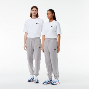 Women's Lacoste Organic Cotton Fleece Sweatpants Grey Chine | QWD826017