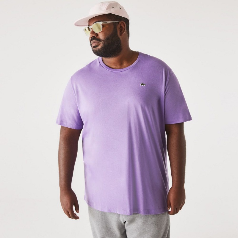 Men's Lacoste Big Fit Crew Neck Cotton Jersey T-Shirt Purple | CME586417