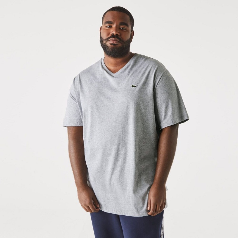 Men's Lacoste Big Fit V-Neck Pima T-Shirt Grey Chine | ASY015476