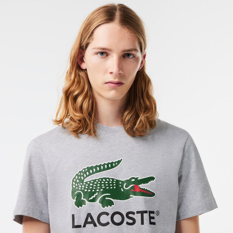 Men's Lacoste Cotton Jersey Signature Print T-Shirt Grey Chine | PHS254071