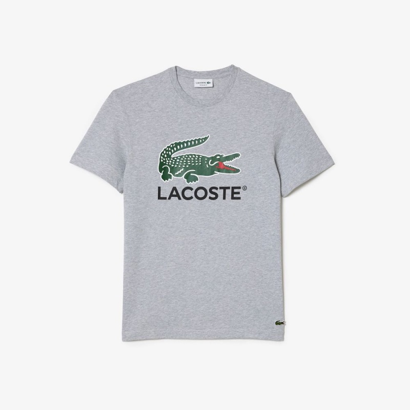 Men's Lacoste Cotton Jersey Signature Print T-Shirt Grey Chine | PHS254071