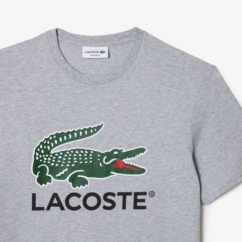 Men's Lacoste Cotton Jersey Signature Print T-Shirt Grey Chine | PHS254071