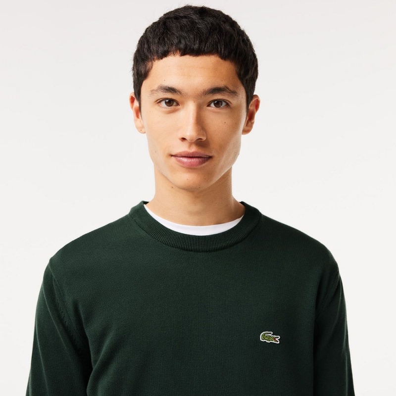 Men's Lacoste Crew Neck Cotton Sweater Forest green | SCV234086