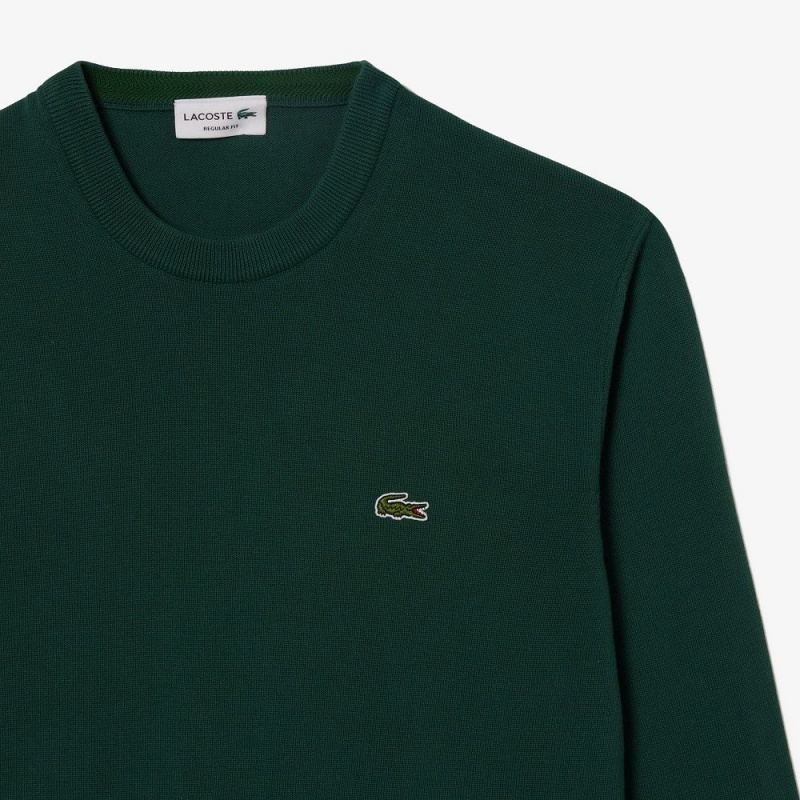 Men's Lacoste Crew Neck Cotton Sweater Forest green | SCV234086