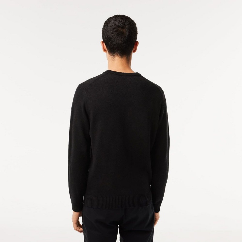 Men's Lacoste Crew Neck Wool Sweater Black | OZD754129