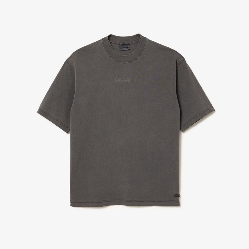 Men's Lacoste Loose Fit Cotton Jersey T-Shirt Grey | OFQ869417