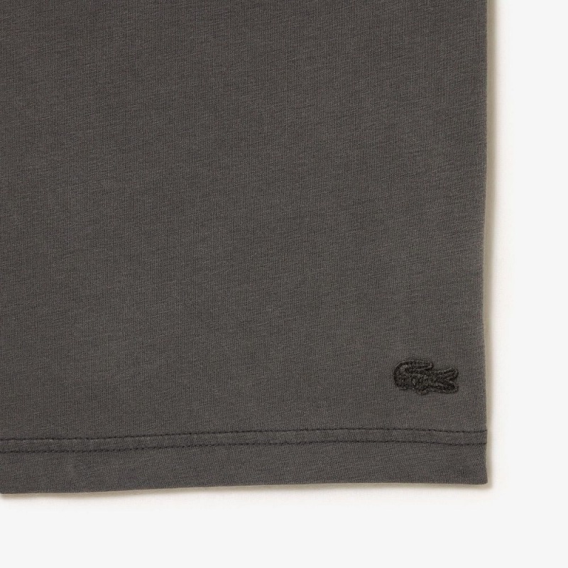 Men's Lacoste Loose Fit Cotton Jersey T-Shirt Grey | OFQ869417