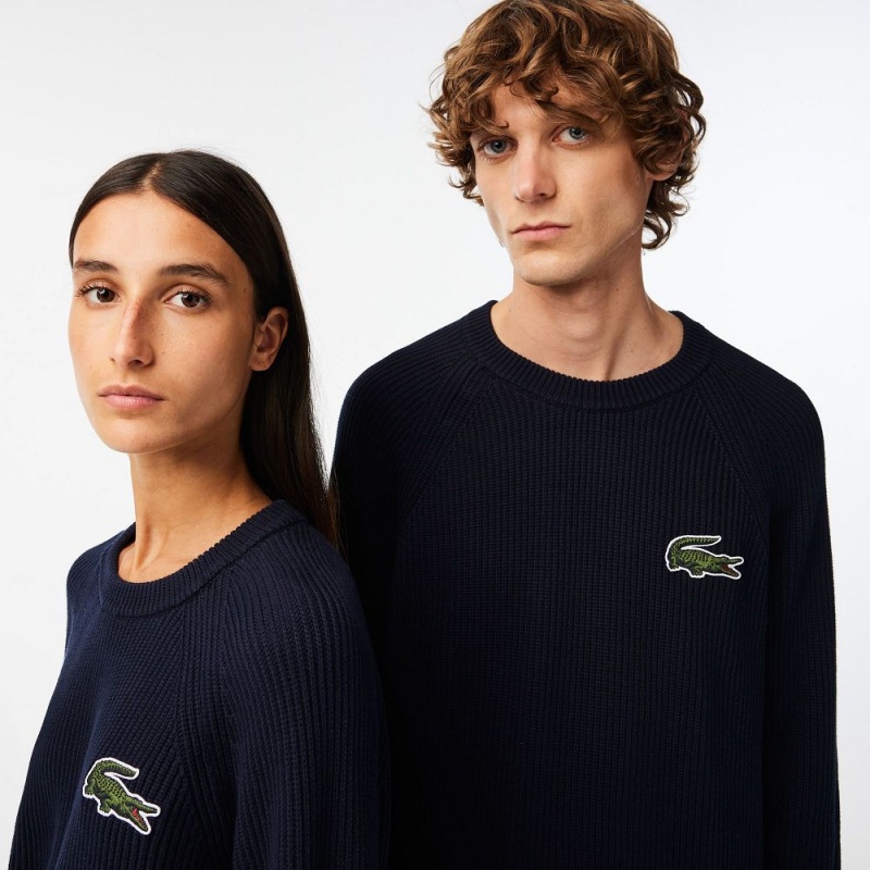 Men's Lacoste Organic Cotton Crew Neck Sweater Navy Blue | ZJT879405