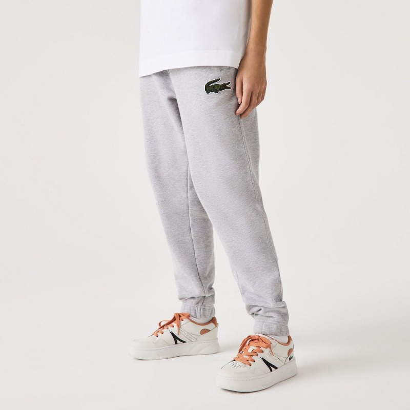 Men's Lacoste Organic Cotton Fleece Sweatpants Grey Chine | NRK907812