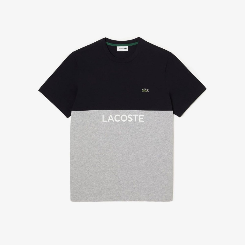 Men's Lacoste Regular Fit Cotton Jersey Colorblock T-Shirt Navy Blue Grey Chine | FAP581960