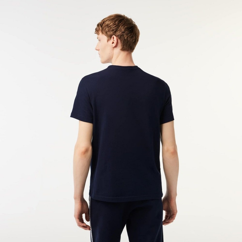 Men's Lacoste Regular Fit Logo Stripe T-Shirt Navy Blue | QZE326174