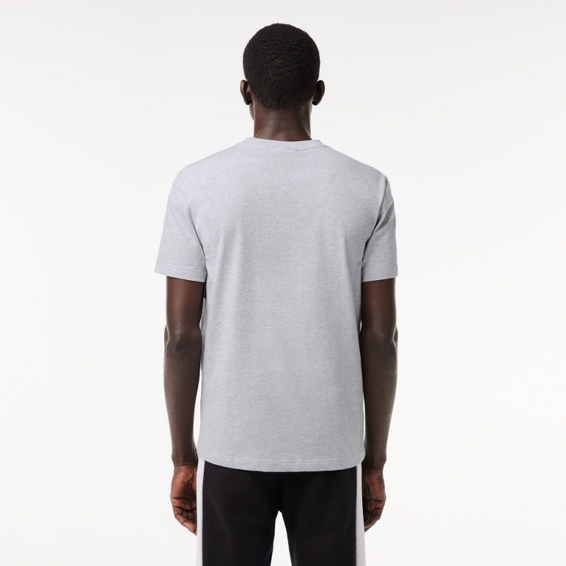 Men's Lacoste Regular Fit Printed Colorblock T-Shirt Grey Chine Black | CJF245173