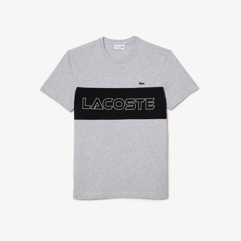 Men's Lacoste Regular Fit Printed Colorblock T-Shirt Grey Chine Black | CJF245173