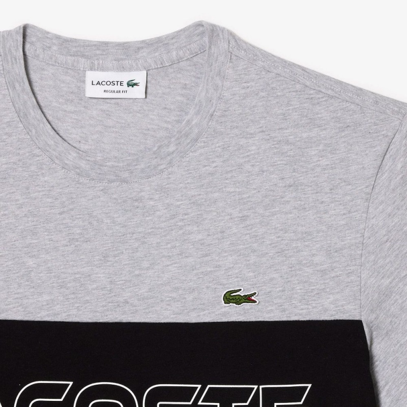 Men's Lacoste Regular Fit Printed Colorblock T-Shirt Grey Chine Black | CJF245173