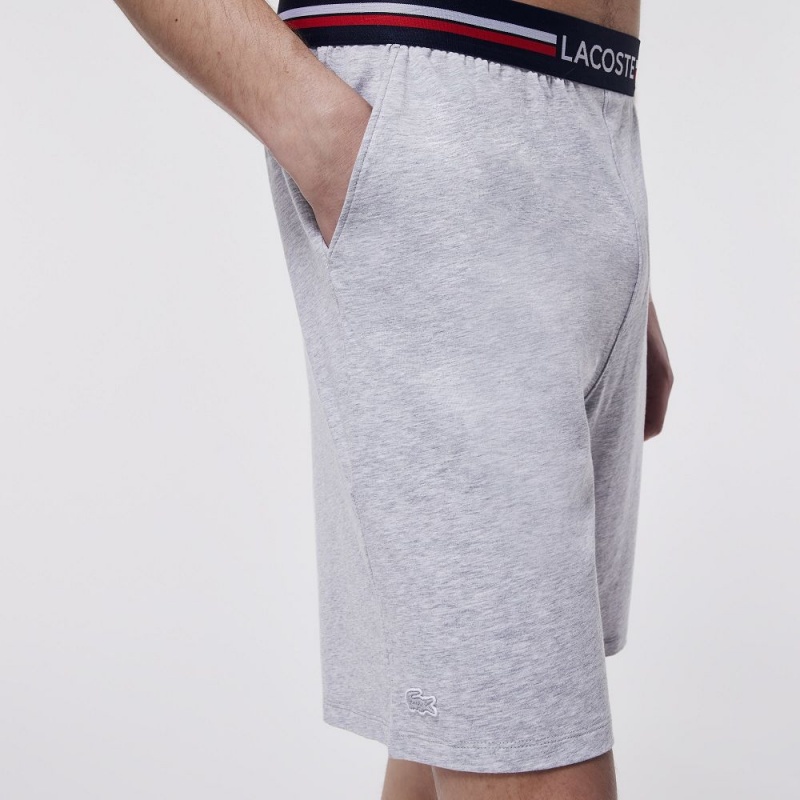 Men's Lacoste Striped-Waist Long Boxer Briefs Grey Chine | AYP327061