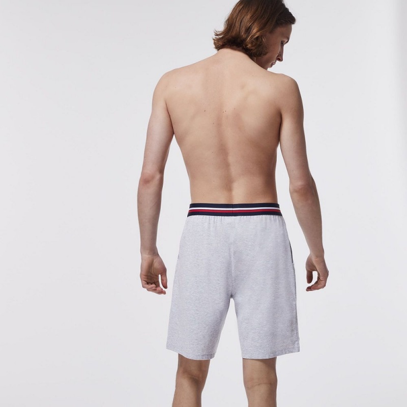 Men's Lacoste Striped-Waist Long Boxer Briefs Grey Chine | AYP327061