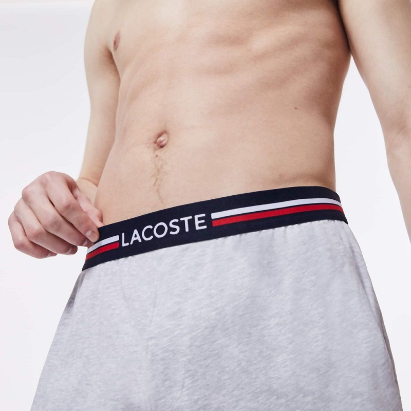 Men's Lacoste Striped-Waist Long Boxer Briefs Grey Chine | AYP327061