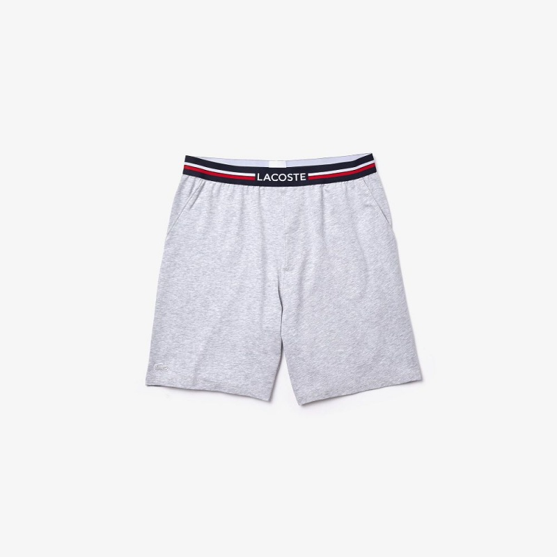 Men's Lacoste Striped-Waist Long Boxer Briefs Grey Chine | AYP327061