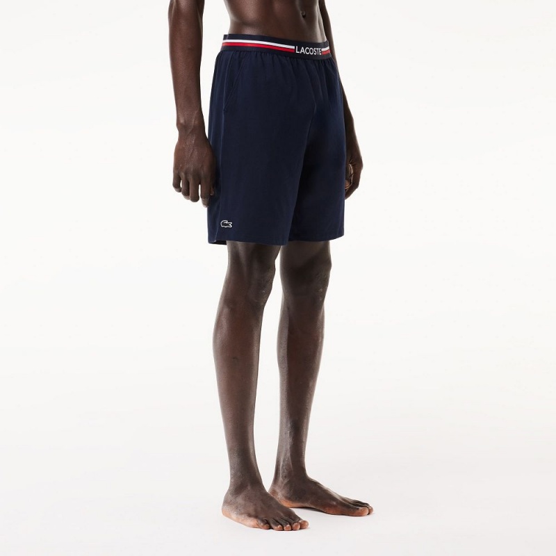 Men's Lacoste Striped-Waist Long Boxer Briefs Navy Blue | NFK219305