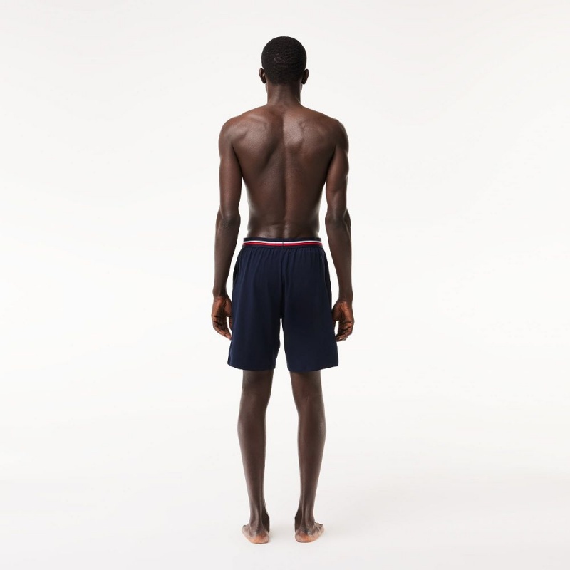 Men's Lacoste Striped-Waist Long Boxer Briefs Navy Blue | NFK219305