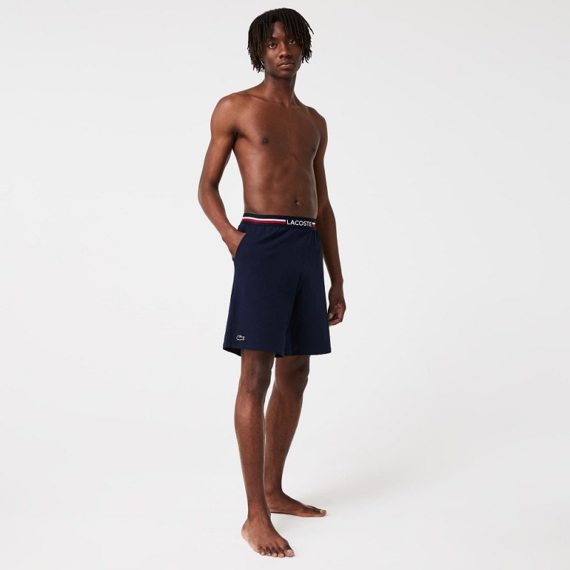 Men's Lacoste Striped-Waist Long Boxer Briefs Navy Blue | NFK219305