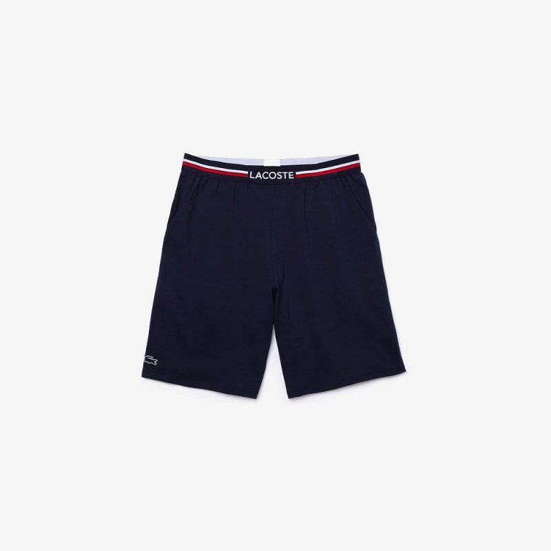 Men's Lacoste Striped-Waist Long Boxer Briefs Navy Blue | NFK219305